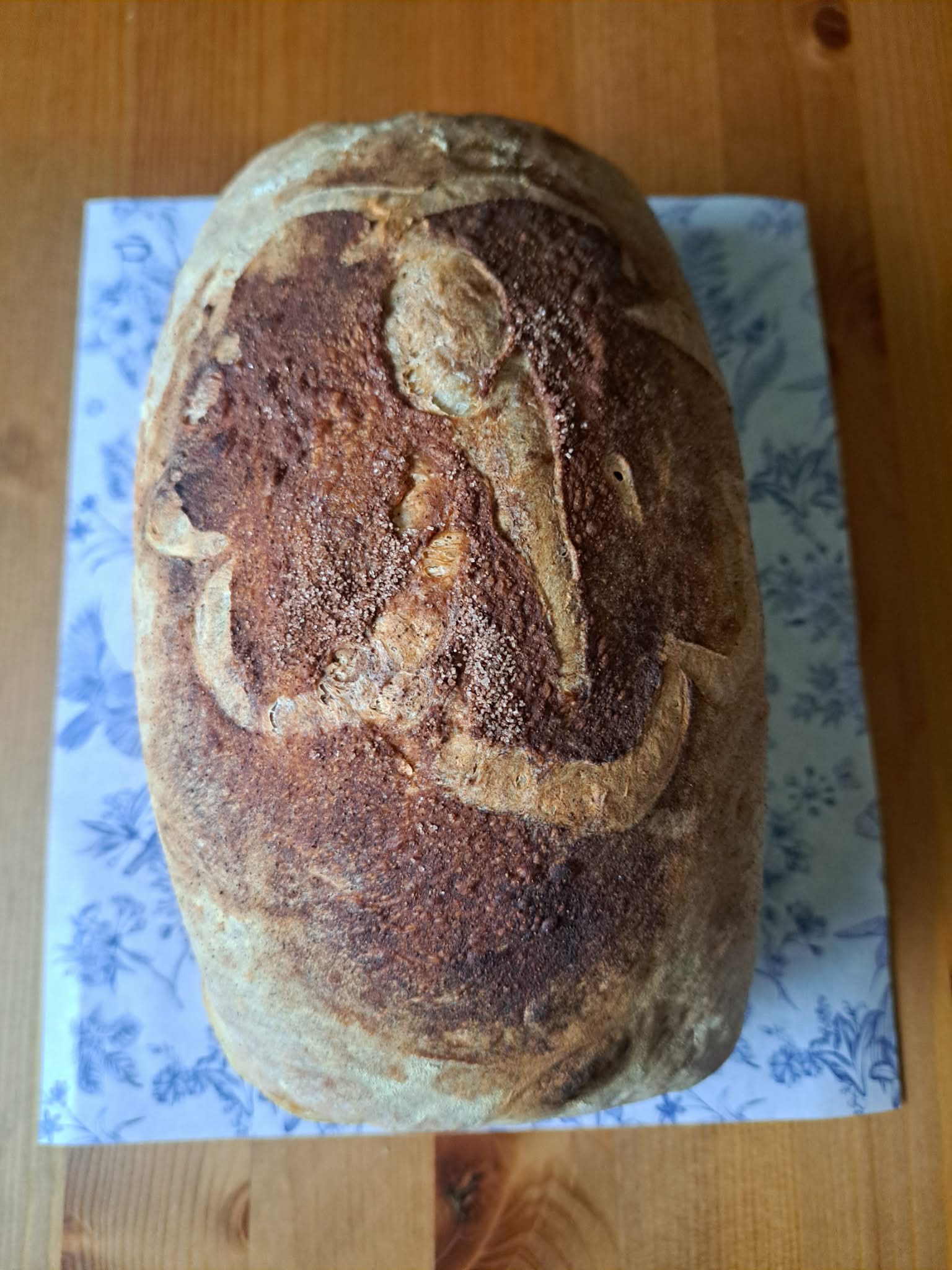 Sourdough Loaves